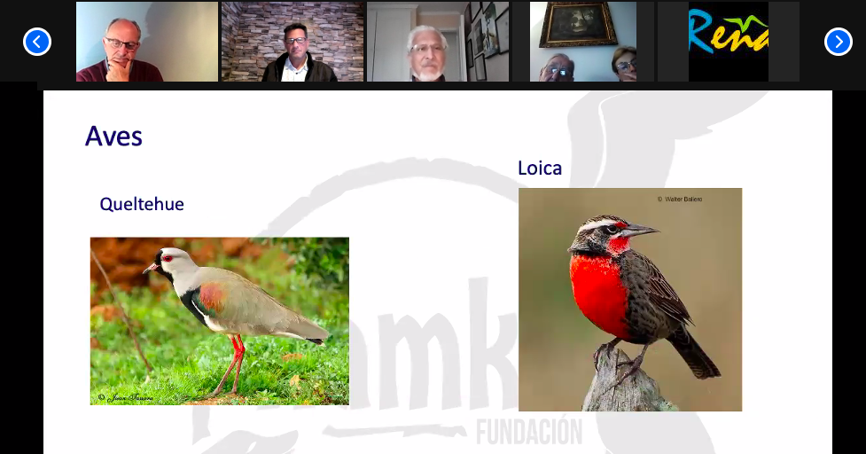 Charla Fundación Ñamku